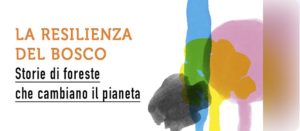 Giornata di formazione regionale Bill | La resilienza del bosco @ Aula Magna del Liceo Giosuè Carducci-Dante Alighieri