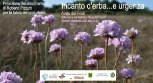 Proiezione del film Incanto d'erba e urgenza - Aiello del Friuli @ Sala Civica Borg dai Fraris