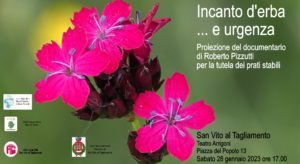 Proiezione del film Incanto d'erba ... e urgenza - San Vito al Tagliamento @ Antico Teatro Arrigoni